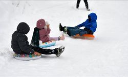 Şırnak ve Tunceli'de okullar yarın tatil edildi
