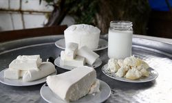 Sosyal medya fenomenlerine peynir ve süt tepkisi: "Yanlış ve bilimsel gerçeklerden uzak"