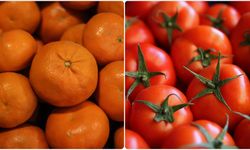 İstanbullular 2025'te en çok mandalina ve domates tüketti