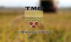 TMO, çeltik alım fiyatlarını açıkladı