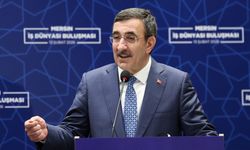 Cevdet Yılmaz: 2026 sonunda yüzde 20'nin altında enflasyon hedefini gerçekçi görüyorum