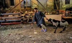 Kurban Bağışı Organizasyonlarında Şeffaflık Neden Kritik Hale Geldi?