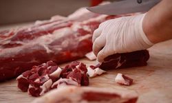 Diyarbakır'da kasaplara sıkı denetim