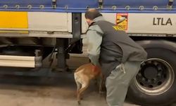 Uluslararası uyuşturucu ticaretiyle mücadele: 240 kilo uyuşturucu ele geçirildi