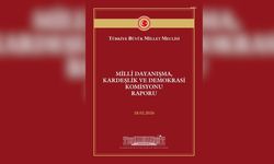 Milli Dayanışma Kardeşlik ve Demokrasi Komisyonu'nun ortak raporu TBMM'nin internet sitesinden yayımlandı