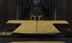 Hırka-i Şerif İstanbul'da ziyarete açıldı