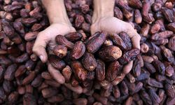 Ramazan sofralarının vazgeçilmezi hurma yüzde 30 zamlandı: Kilosu 1000 TL'yi aştı