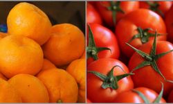 İstanbul'da ocakta en çok mandalina ve domates tüketildi