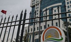 "100 milyon liralık yarış atları kayıp" iddiasına yalanlama