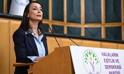 Bahçeli’nin 'Öcalan’ın statüsü' çıkışına Hatimoğulları’ndan destek: Koşulları düzenlenmeli