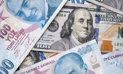Dolar/TL 44,32 seviyesinden işlem görüyor