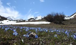 Türkiye'de, son 56 yılın en sıcak 3'üncü şubat ayı yaşandı