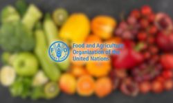 FAO: Küresel gıda fiyatları 5 ay sonra yeniden yükselişe geçti