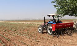 DMM, "Türkiye'de gübre krizi" yaşandığı iddiasını yalanladı