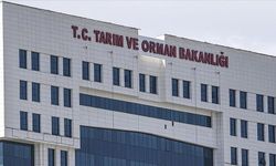 Tarım ve Orman Bakanlığından Milli Parklar Kanunu'na ilişkin iddialara yanıt