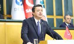 Mahmut Arıkan: D-8 harekete geçmeyi bekliyor!