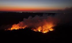 Beykoz'da ormanlık alanda çıkan yangın kontrol altına alındı