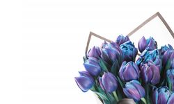 Kocaeli’de Modern Çiçekçilik Kültürü