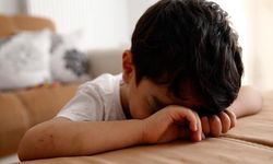 Akran zorbalığı yapan çocuğa hapis istemi