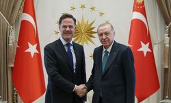 Cumhurbaşkanı Erdoğan'ın NATO Genel Sekreteri Rutte'yi kabulüne ilişkin açıklama