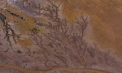 Tuzla Palas Gölü’nü besleyen suların artışı ile birlikte “hayat ağacı” görünümü yeniden oluştu