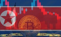 Kuzey Kore'den ABD şirketlerine yazılım saldırısı