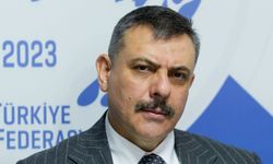 Bakan Çiftçi: Sahipsiz sokak hayvanlarının yüzde 75'i şu anda toplanmış durumda