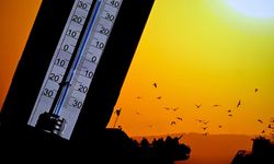 Bahar geliyor: Sıcaklıklar 8 derece birden artacak