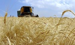 Çaycuma'da tarım yatırımı: 1000 kişilik istihdam