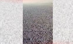 Arafat'ta mahşeri tablo: "Bir kefen parçası dışında hiçbir şey yok"