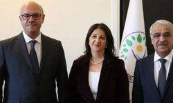 DEM Parti'den İmralı görüşmesi açıklaması