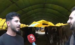 Genç besici kurban pazarında sitem etti: "Mazot iki katına çıktı, hayvancılığı bitirdiler!"
