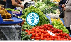 FAO'dan Hürmüz Boğazı'na ilişkin uyarı: Küresel gıda krizi kapıda