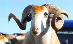 Kurban Bayramı'nda hava nasıl olacak?