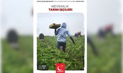 Saadet Partisi'nden Mevsimlik Tarım İşçileri raporu: İnsan onuruna yakışır yaşam bir haktır