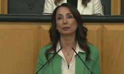 DEM Partili Hatimoğulları: Çerçeve yasa AK Parti ile görüşülmüştür