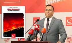 Saadet Partisi'nden orman yangınlarına karşı kapsamlı rapor: "Önleyici politikalar şart"