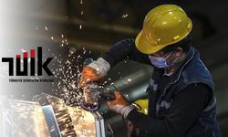 TÜİK: Sanayi üretimi aylık %3,7, yıllık %6,0 arttı