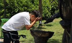 Şanlıurfa'da termometreler 43 dereceyi gösterdi