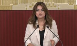 DEM Partili Koçyiğit: Çerçeve yasanın Meclis kapanmadan çıkacağına dair bilgiyi teyit edebilirim
