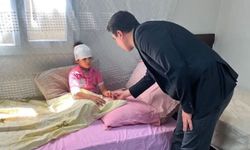 Şanlıurfa'da sahipsiz köpeklerin saldırısına uğrayan 8 yaşındaki çocuk yaralandı
