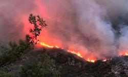 Antalya’nın Kaş ilçesinde orman yangını çıktı