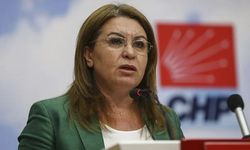 CHP'li Gülizar Biçer Karaca’dan "partide kalacağım" mesajı