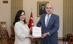 Suça sürüklenen çocuklara ilişkin araştırma komisyonu, raporunu TBMM Başkanı'na sundu