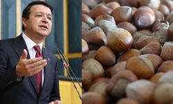 Mahmut Arıkan'dan açıklanan yeni fındık alım fiyatına tepki
