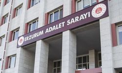 Gülistan Doku soruşturmasında 2 zanlı daha tutuklandı