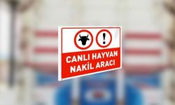 Canlı hayvan nakil yönetmeliğinde değişikliğe gidildi