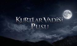 'Kurtlar Vadisi Pusu' dizisine inceleme başlatıldı