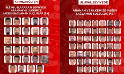 29'u kırmızı bültenle aranan 76 suçlu Türkiye'ye iade edildi