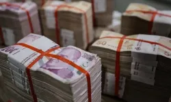 Hazine alacakları ağustos sonu itibarıyla 256,2 milyar lira oldu